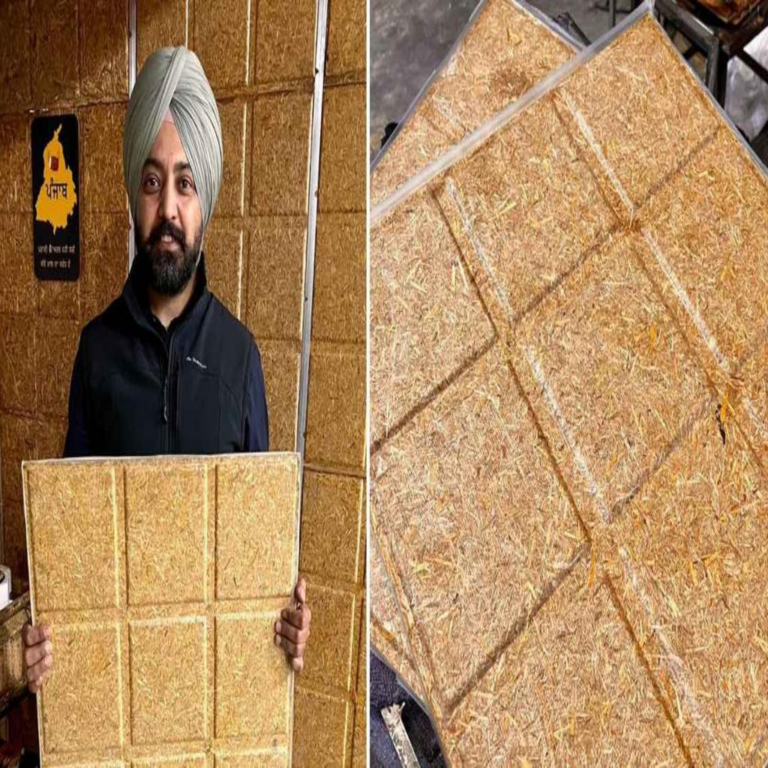 Una innovadora baldosa creada con desechos de rastrojos: la solución de un ingeniero para mejorar el aislamiento térmico del hogar.