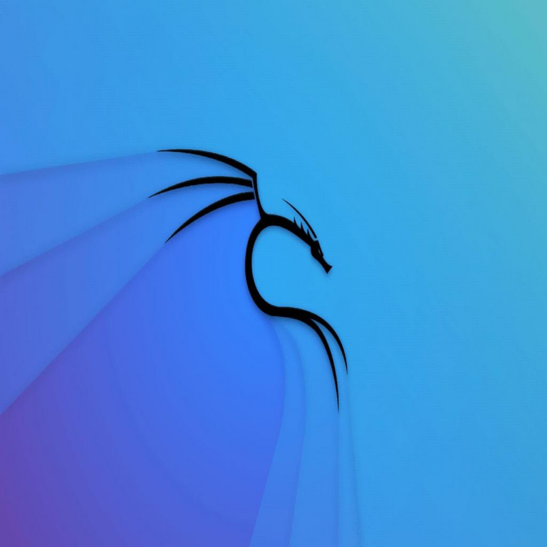 Kali Linux 2025.1a se lanza con una nueva herramienta y actualización temática anual