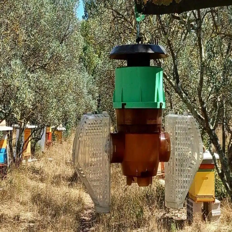 “Despídete de las avispas: un innovador dispositivo que las atrapa con eficacia y sin dañar a otras especies”