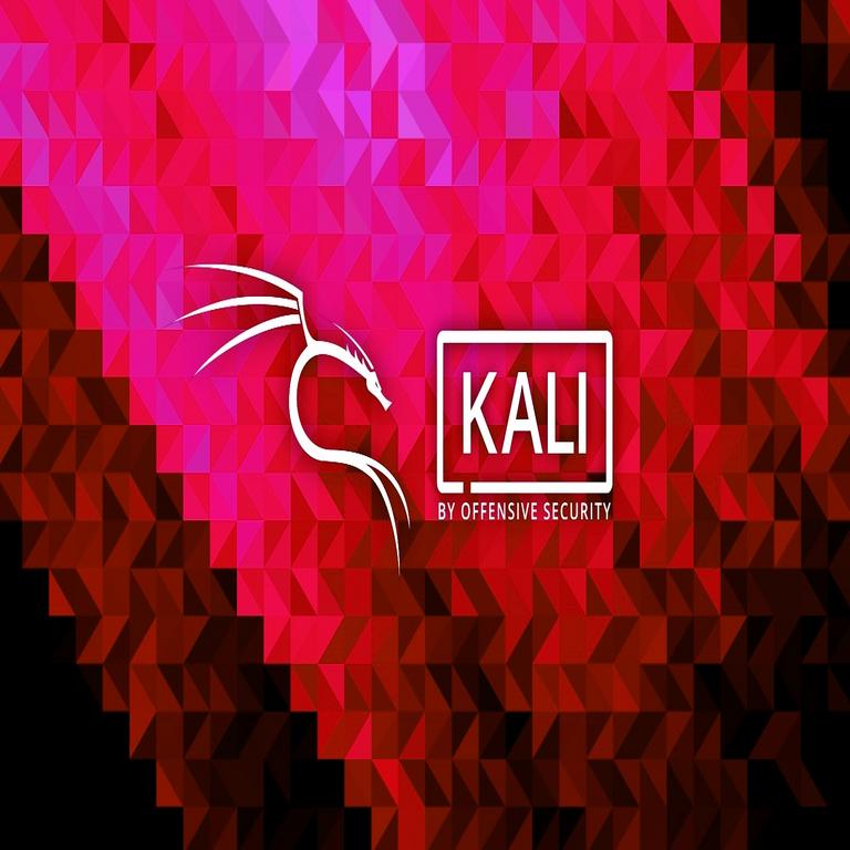 Kali Linux alerta sobre fallos en actualizaciones tras perder la clave de firma del repositorio
