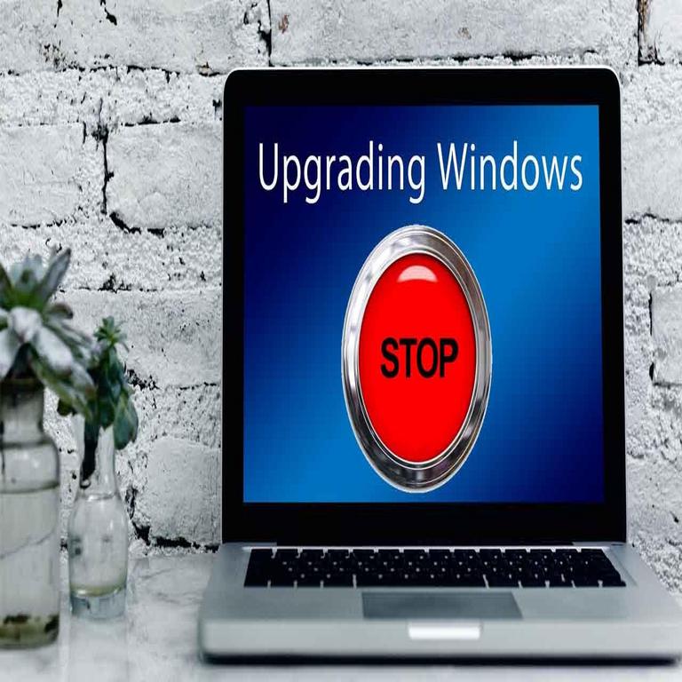 “Windows 11 crea una carpeta vacía denominada inetpub después de la actualización: evita eliminarla”