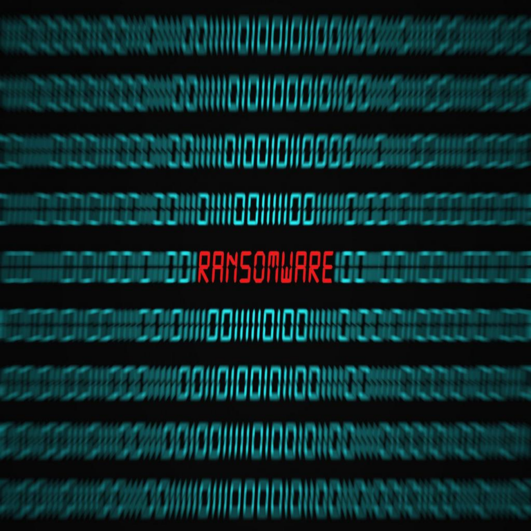 Comunidad indígena de Minnesota enfrenta dificultades tras ataque de ransomware