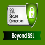 Más allá del SSL: Herramientas esenciales de ciberseguridad para sitios de comercio electrónico