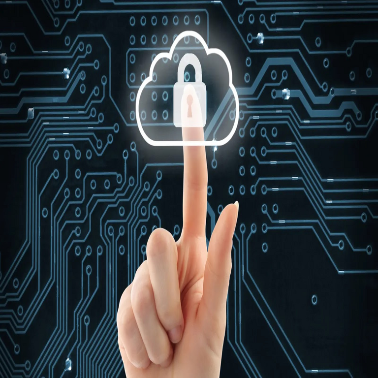 Protección de contenedores Linux – Guía para entornos nativos de la nube.