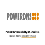 Vulnerabilidad en PowerDNS permite a atacantes desencadenar ataques DoS mediante conexiones TCP maliciosas.
