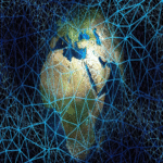 Cuándo considerar la actualización a un plan de Internet doméstico de mayor velocidad.
