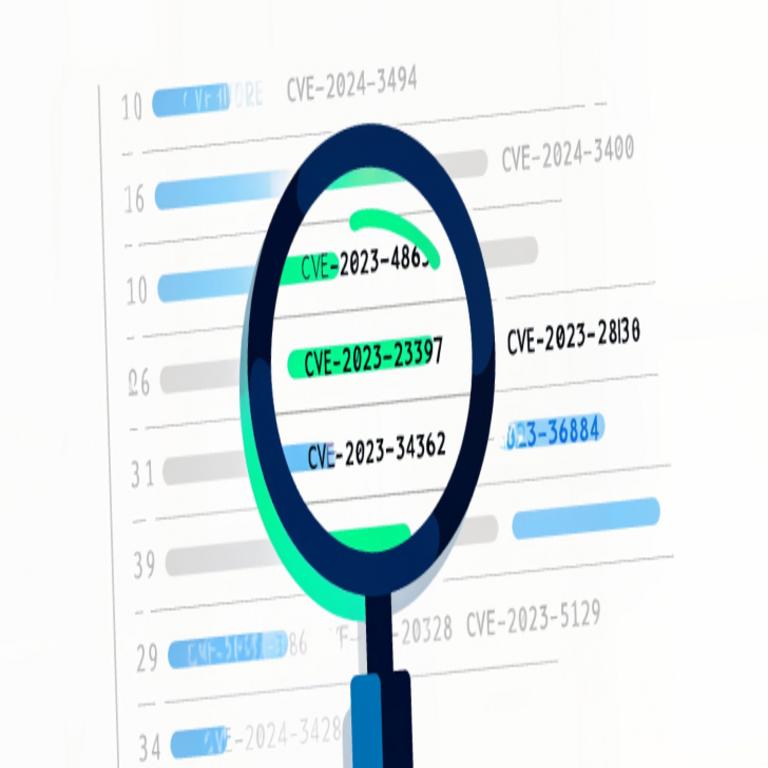Más allá de la gestión de vulnerabilidades: ¿Ves lo mismo que yo en los CVE?