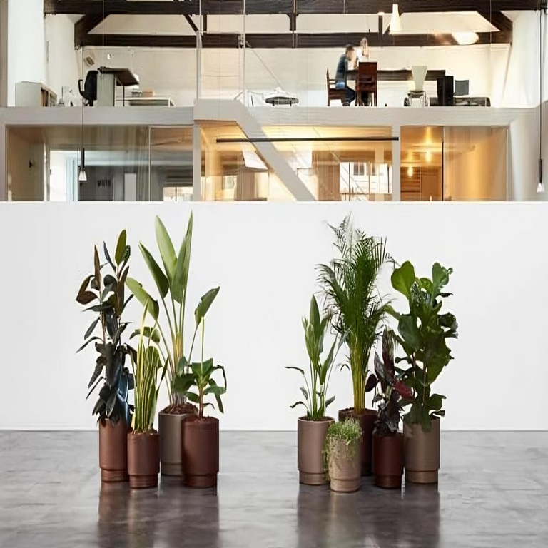 El innovador sistema español para evitar el riego de plantas durante vacaciones: reduce el consumo de agua en un 80% y conserva la humedad.