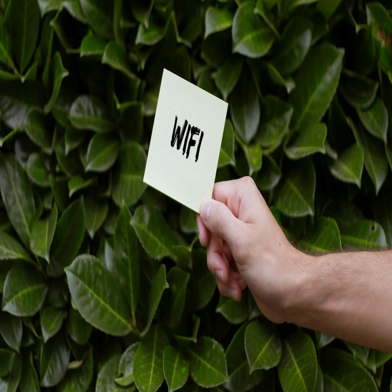 Cambiar el canal Wi-Fi o la banda de frecuencia: ¿cuál es más relevante para optimizar la conexión inalámbrica?