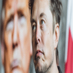 Si la interrogante es qué sucedió entre Elon Musk y el gobierno de Estados Unidos, para muchos la respuesta es sencilla: kayfabe.