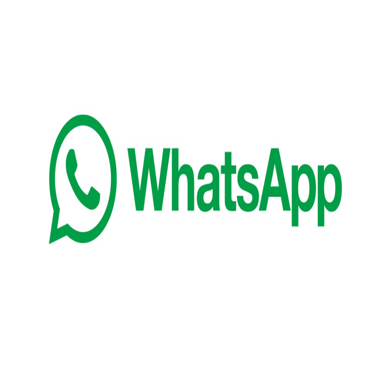 WhatsApp introduce nuevos colores: características y guía de implementación.