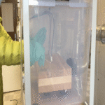 La innovadora madera que reemplazará al plástico y será fundamental en la construcción de hospitales debido a su mayor resistencia microbiana.