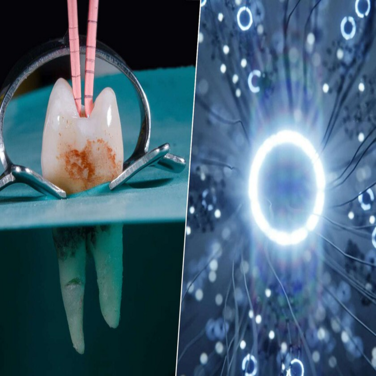Hemos creado un implante dental con características avanzadas inspiradas en ‘Blade Runner’: capaz de desarrollarse e interactuar con el cerebro mediante estimulación neuronal.