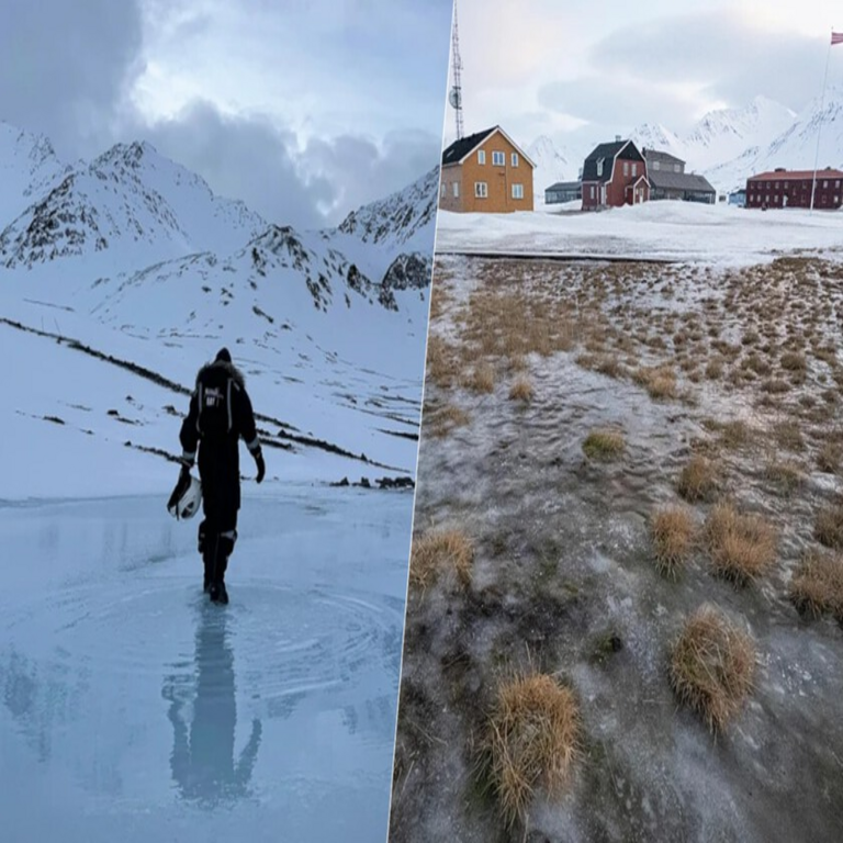 Se están registrando fenómenos inusuales este año en el archipiélago de Svalbard.