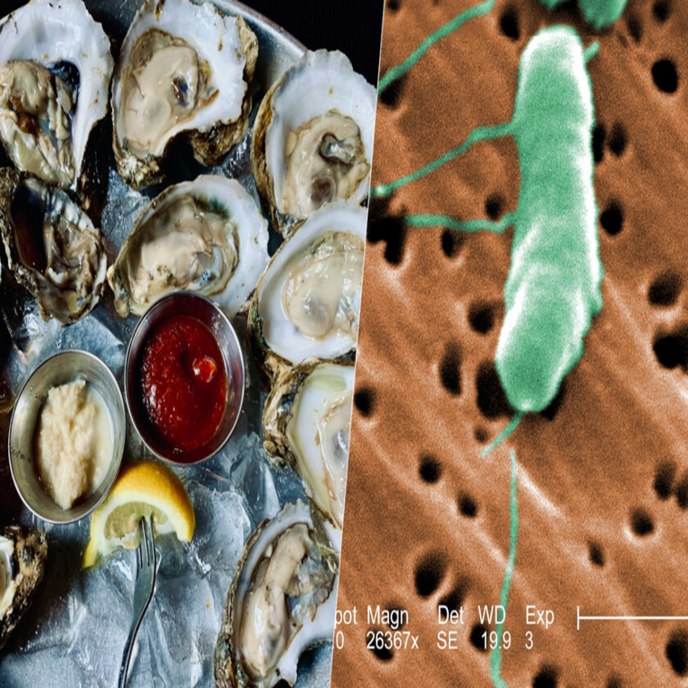Definición de la bacteria carnívora y motivos por los cuales Europa considera crítico incrementar las medidas preventivas en el presente contexto.