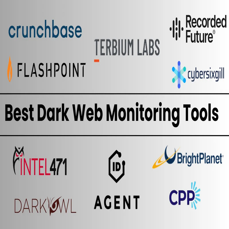 Las 10 mejores herramientas de monitoreo de la dark web en 2025.