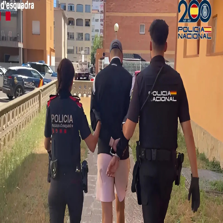 Detenido un hacker por robo de datos dirigido a clientes de bancos españoles.