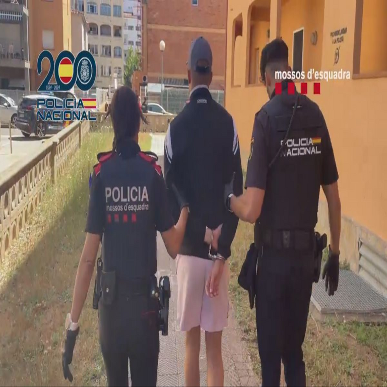 La Policía Nacional junto con los Mossos d’Esquadra han arrestado a un ciberdelincuente responsable de diversos ataques informáticos, involucrado en fraudes mediante el robo de información bancaria, universitaria y corporativa.