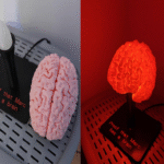 Una persona ha fabricado mediante impresión 3D una réplica de su cerebro para transformarla en una lámpara, un proyecto replicable siguiendo el mismo procedimiento técnico.