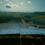 La nueva disparidad en el sector agrícola: la rentabilidad del pistacho se materializa tras varios años, mientras que la energía solar genera ingresos desde el primer contrato de arrendamiento.