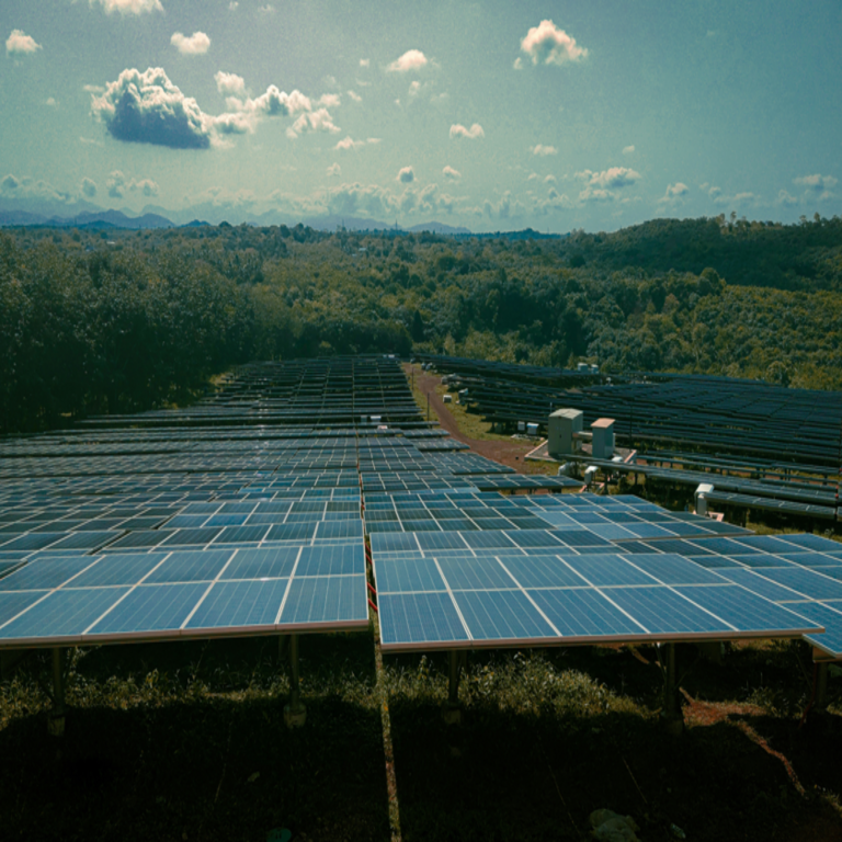 La nueva disparidad en el sector agrícola: la rentabilidad del pistacho se materializa tras varios años, mientras que la energía solar genera ingresos desde el primer contrato de arrendamiento.