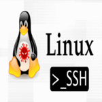 Nuevo malware indetectable de tipo plaga dirigido a servidores Linux para acceso SSH persistente.