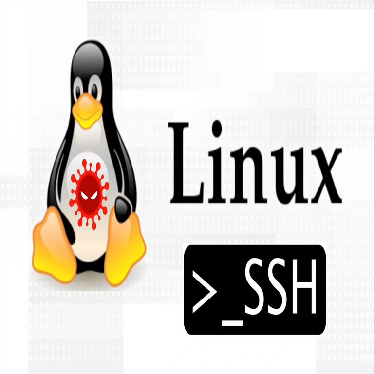 Nuevo malware indetectable de tipo plaga dirigido a servidores Linux para acceso SSH persistente.