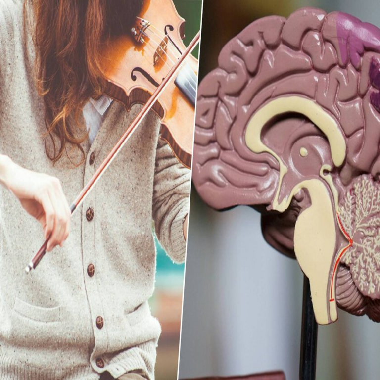 La ciencia ha identificado una disfunción neuronal como causa de la aversión a la música en ciertos individuos.