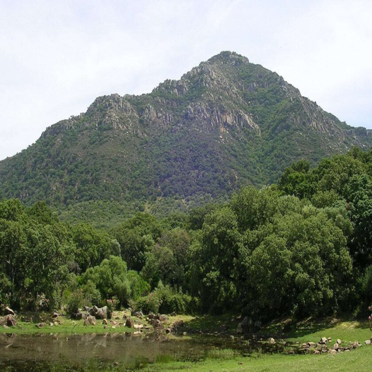 A pesar de las condiciones de sequía y los efectos del cambio climático, la región de Andalucía presenta actualmente una mayor cobertura vegetal en comparación con la década de 1990, aunque este incremento no constituye necesariamente un indicador positivo.