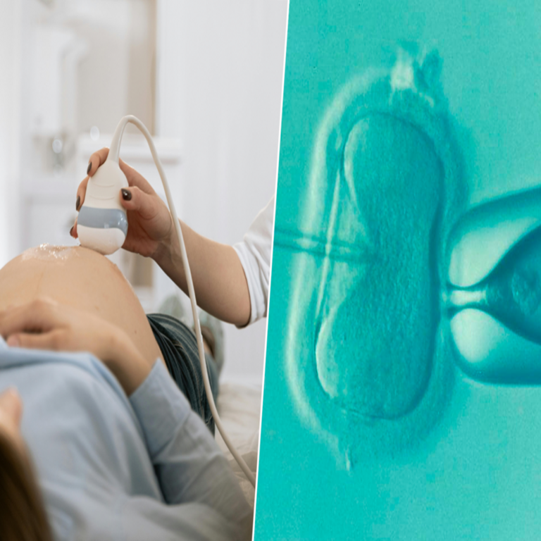Los magnates de Silicon Valley desarrollan una nueva fijación: la optimización prenatal de sus hijos.