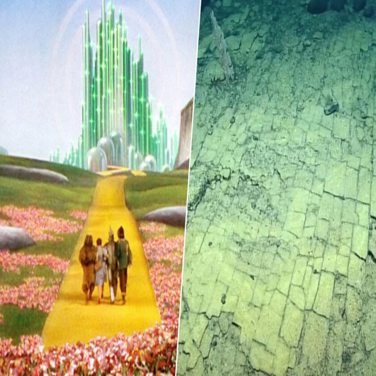 Pensábamos que el “camino de baldosas amarillas” era exclusivo del ámbito cinematográfico, hasta que un equipo de buceo exploró las profundidades marinas.