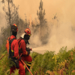 La reciente oleada de incendios ha reavivado el debate técnico en España sobre la viabilidad y los métodos de la limpieza de montes.