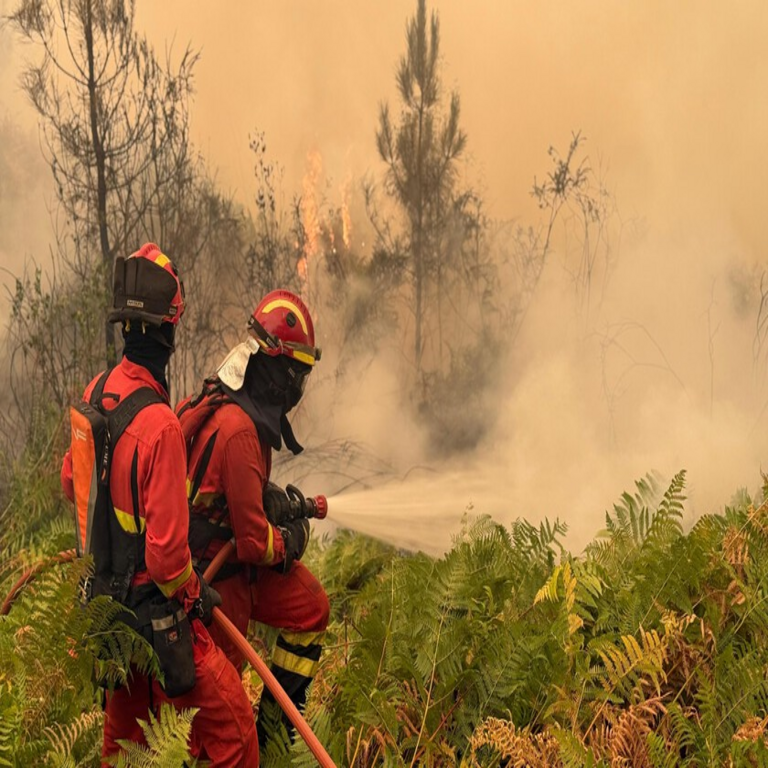 La reciente oleada de incendios ha reavivado el debate técnico en España sobre la viabilidad y los métodos de la limpieza de montes.