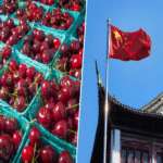 China experimenta un auge en la demanda de cerezas, y España aspira a posicionarse como su principal proveedor hortofrutícola, aunque enfrentará un mercado altamente competitivo.