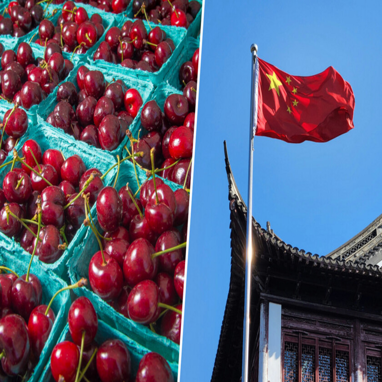 China experimenta un auge en la demanda de cerezas, y España aspira a posicionarse como su principal proveedor hortofrutícola, aunque enfrentará un mercado altamente competitivo.