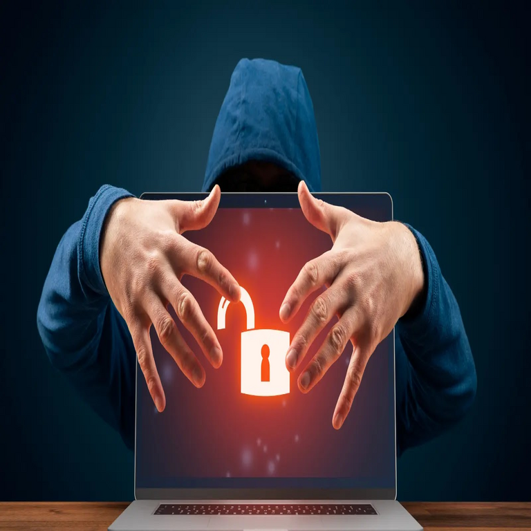 Pirata informático serial sentenciado por desfiguración y compromiso de sitios web organizacionales.