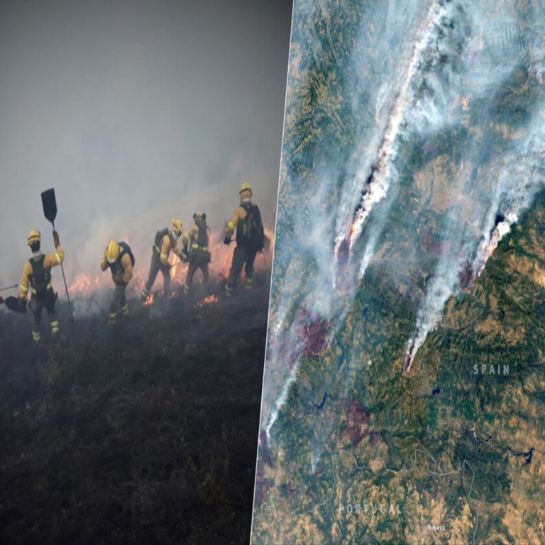 Los incendios forestales en España: una dificultad en la lucha por la extinción.