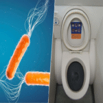 El combate contra las superbacterias carece de estrategias consolidadas, aunque existen contribuciones emergentes, como el análisis de muestras fecales de aeronaves.