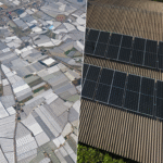 Durante años, Almería se ha consolidado como el principal ‘mar de plástico’ de Europa. En la actualidad, aspira a transformarse en un nuevo mar: el de paneles solares.