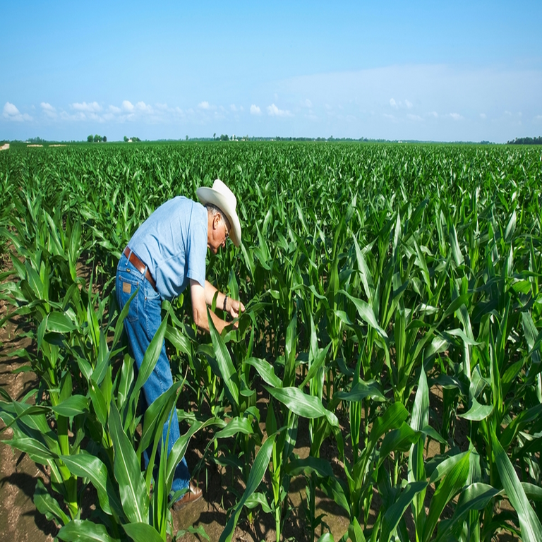 Datos de clientes de Farmers Insurance comprometidos en incidente que afecta a un millón de agricultores.