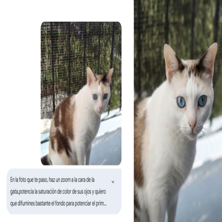 Google actualiza la edición de imágenes gratuita en Gemini, desafiando la posición dominante de Photoshop y compitiendo directamente con ChatGPT.