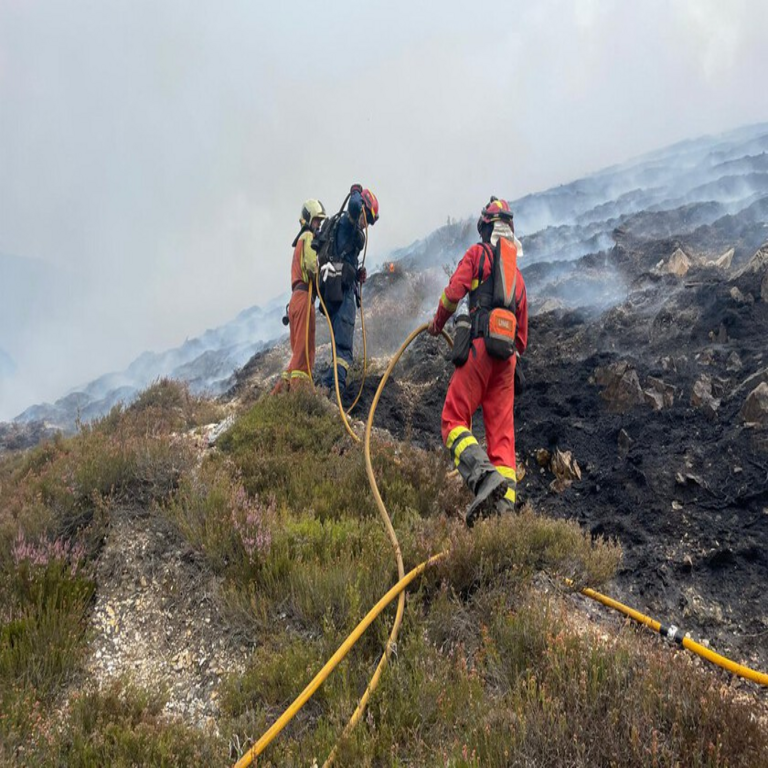 Tras la serie de incendios, España se enfrenta a un reto de mayor envergadura: determinar si prefiere restaurar los bosques tradicionales o desarrollar bosques adaptados a las condiciones futuras.