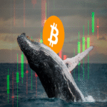 Binance se está consolidando como el ecosistema principal para los grandes tenedores de Bitcoin.