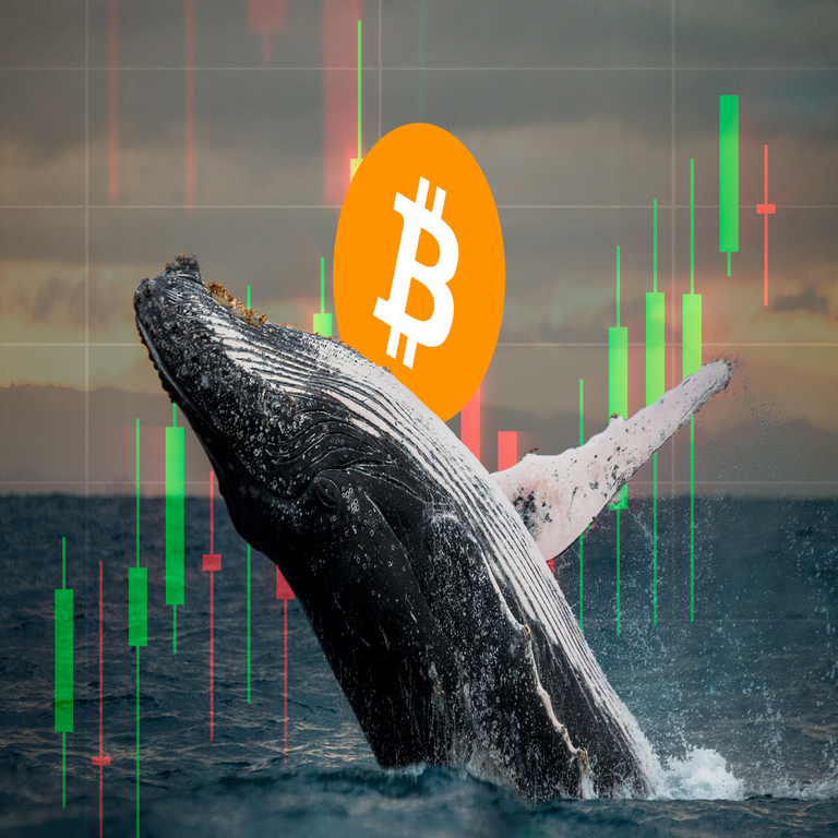 Binance se está consolidando como el ecosistema principal para los grandes tenedores de Bitcoin.