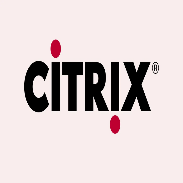Vulnerabilidad crítica de día cero en Citrix explotada desde mayo, dejando entidades globales expuestas.