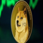 Informantes revelan que una empresa vinculada a Elon Musk iniciará un proceso de acumulación de Dogecoin.