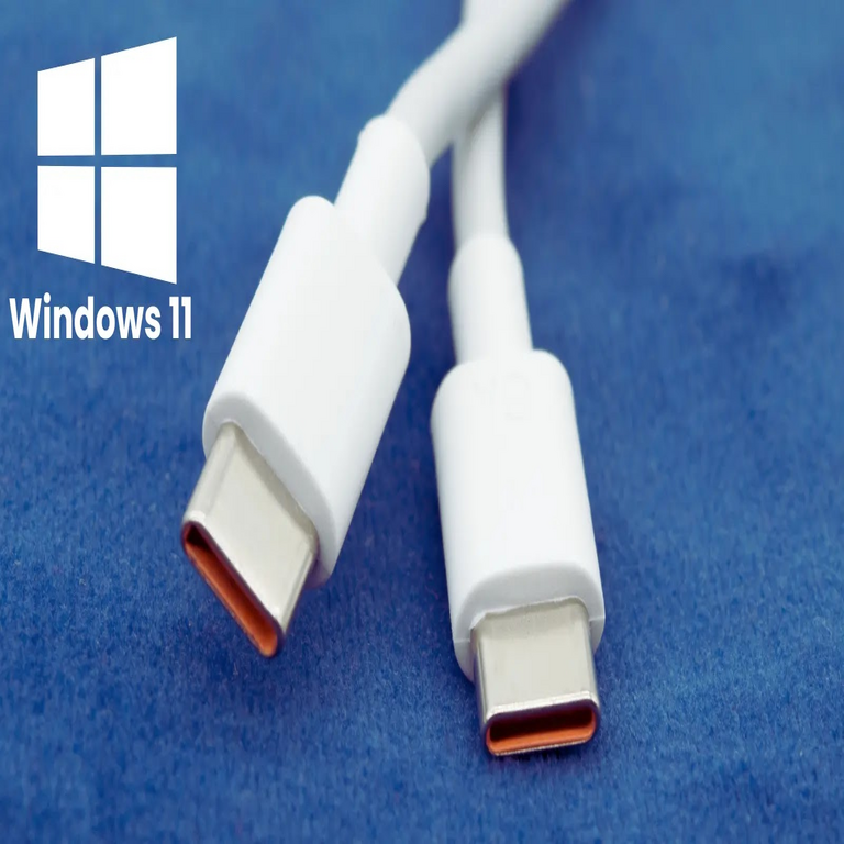 Microsoft insta a los fabricantes de equipos originales a resolver los problemas de notificaciones de USB-C en Windows 11.