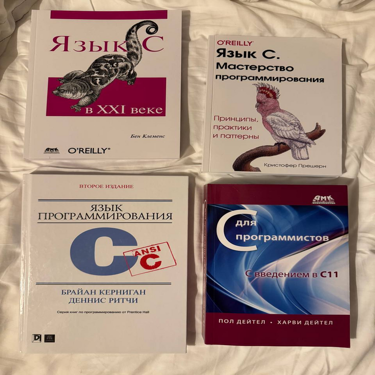 Mi trayectoria en el aprendizaje del lenguaje C: recursos bibliográficos de utilidad comprobada.