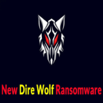 Nuevo ataque de ransomware ‘Dire Wolf’ afecta sistemas Windows, eliminando registros de eventos y datos relacionados con copias de seguridad.