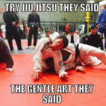 Someter, quebrantar y dominar: la utilidad del jiu-jitsu para el profesional de tecnologías de la información.